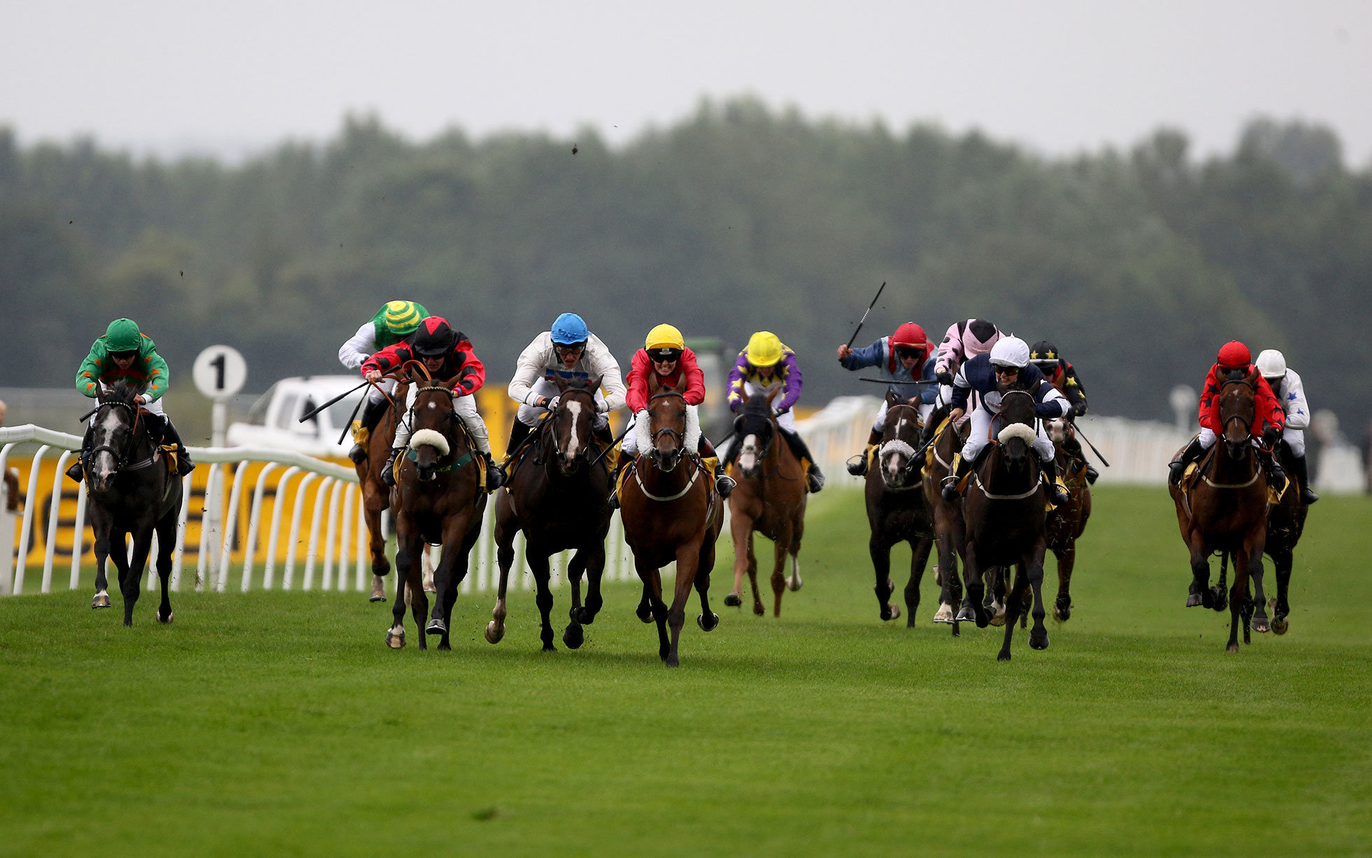 Sports Betting; Horse Racing A Fact that you Need to Know